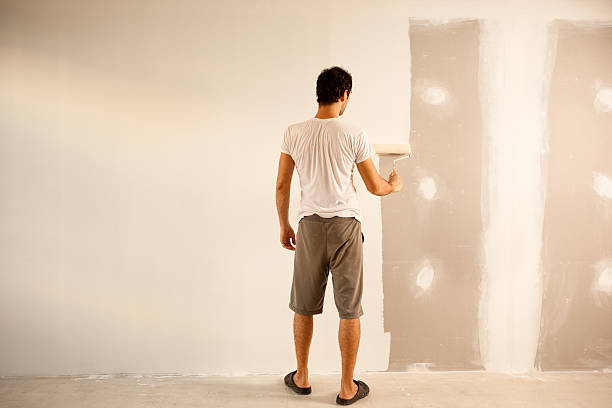 Best Residential Painting  in Perry, IA